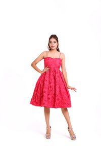 Zoey A-Line Lace Dress | Hot Pink