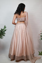 Load image into Gallery viewer, Aurora Lace Embroidery Lehenga | Rose Gold
